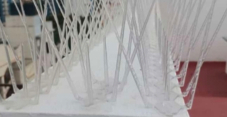 BIRD SPIKES IN HYDERABAD
