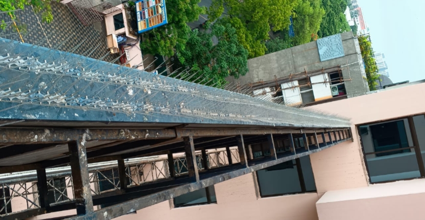 Bird Spikes in Hyderabad